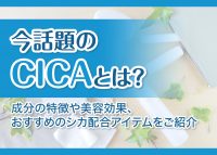 CICAについて解説