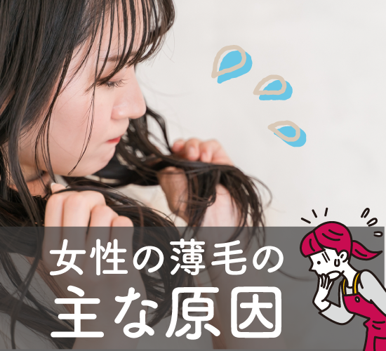 薄毛の原因
