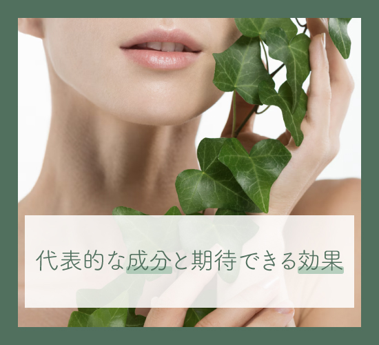 成分と効果