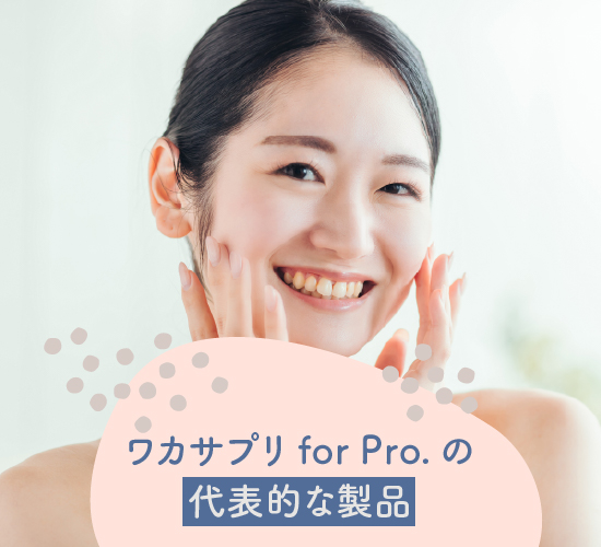 代表的な製品