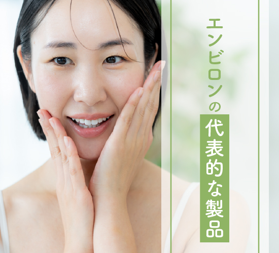 代表的な製品
