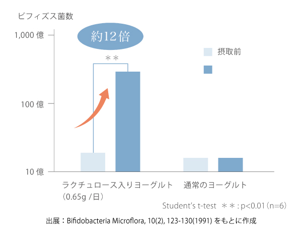 腸内のビフィズス菌の変化