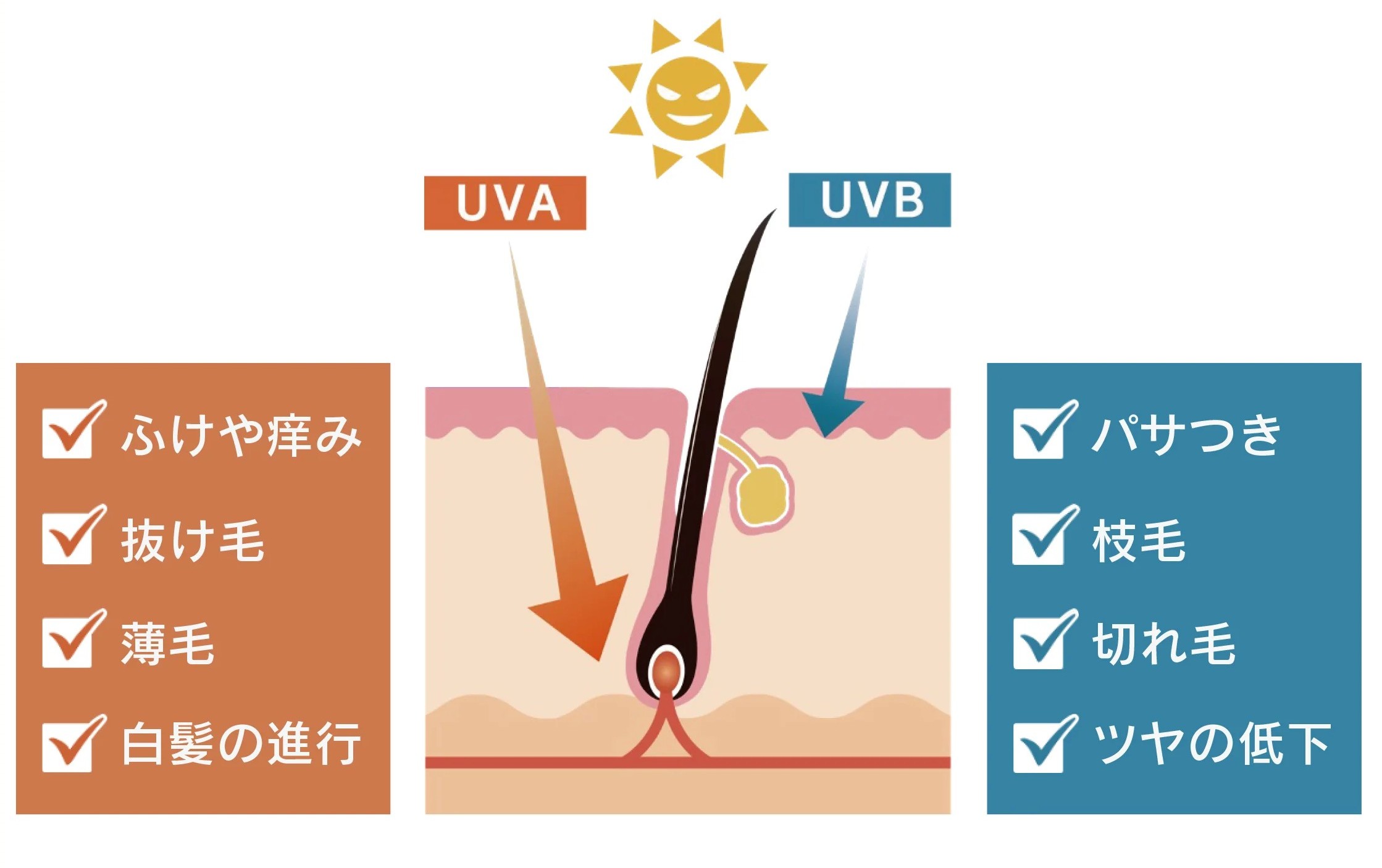 頭皮や髪のUVケアの重要性