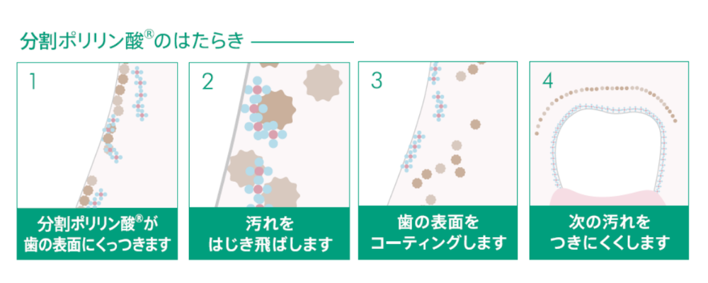 分割ポリリン酸のはたらき